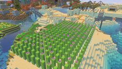 The city of Peppermint Island